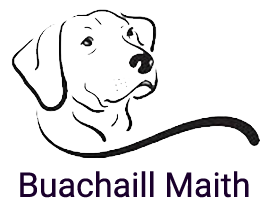 Buachaill Maith logo